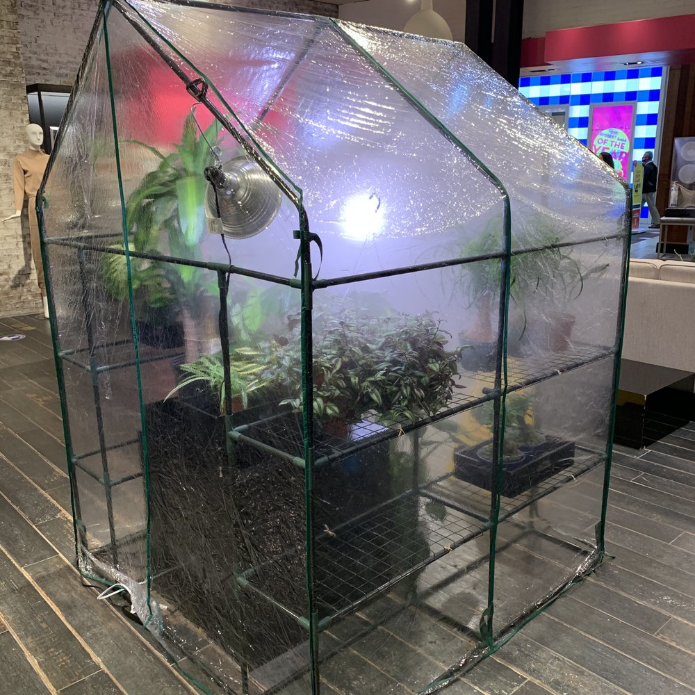 Stems & Stone - Love this little misting room for the plants! - Flowers & Gifts Near Me - Columbus, Ohio Stems & Stone - Love this little misting room for the plants! - Flowers & Gifts Near Me - Columbus, Ohio