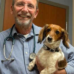 Williamson County Animal Hospital - Dr. Shaun with Georgia