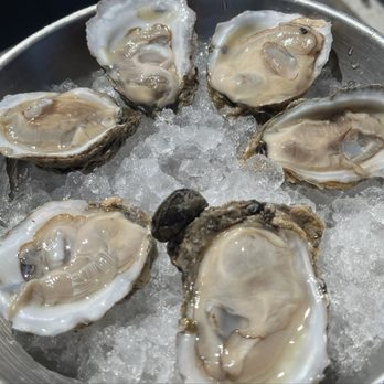 Bahrs Landing Restaurant - Oysters on the 1/2 Shell - Seafood Near Me - Highlands, New Jersey Bahrs Landing Restaurant - Oysters on the 1/2 Shell - Seafood Near Me - Highlands, New Jersey