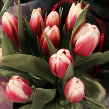 Food Lion - Pretty flowers for the romantics out there. - Grocery Near Me - Suffolk, Virginia Food Lion - Pretty flowers for the romantics out there. - Grocery Near Me - Suffolk, Virginia