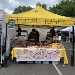 Bees in The Burbs