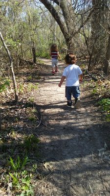 Spring Creek Forest Preserve by null