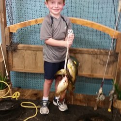 Lyman's On the Lake - Henry from Farmington Hills with a stringer of panfish