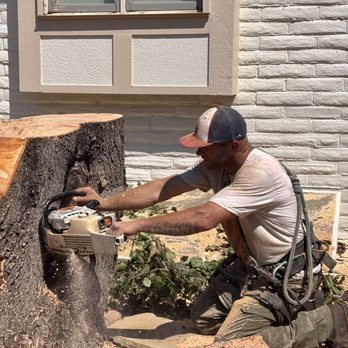 Timber Limber Tree Service - Tree Services Near Me - Goddard, Kansas Timber Limber Tree Service - Tree Services Near Me - Goddard, Kansas
