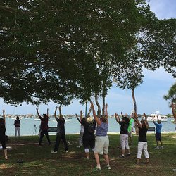 TaiChi.Love - Group Qi gong classes and private Tai Chi lessons indoors or outside on Sarasota Bay.