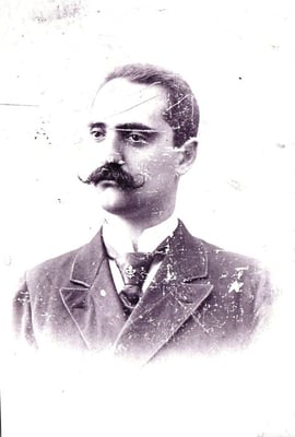 Alleva Dairy by null