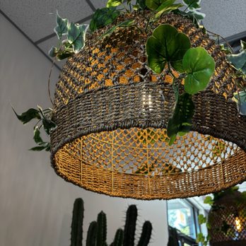 Quesa Tacos - Lighting - A woven pendant light fixture made of wicker or rattan hangs from a ceiling with a grid pattern. The fixture is decorated with green plants, including ivy and other leafy foliage, which drape over the top of the light. The background shows part of a room with a cactus and a window allowing natural light to enter. - Mexican Near Me - Carmel, Indiana