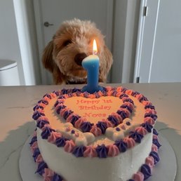 Dog cake