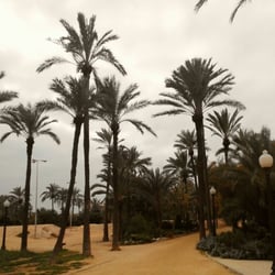 El Palmeral - El Palmeral park, Alicante, Spain