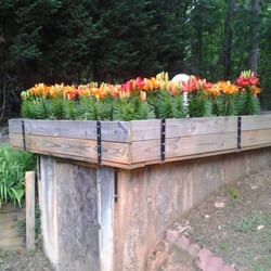 John David's Flowers