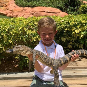 Congo River Golf - Amusement Parks Near Me - Daytona Beach Shores, Florida