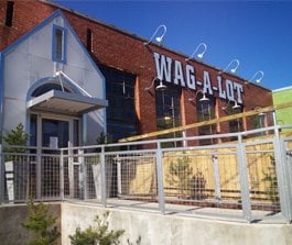 WAG-A-LOT Downtown by null