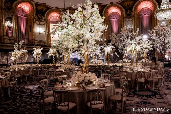 Kehoe Designs by null