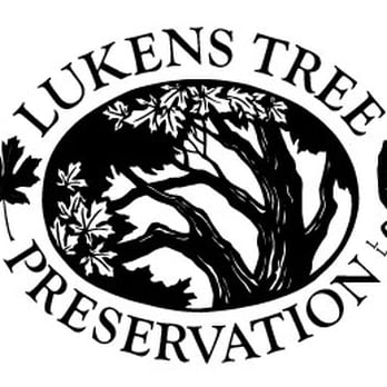 Lukens Tree Preservation - ISA Certified Arborist - Tree Services Near Me - Olympia, Washington Lukens Tree Preservation - ISA Certified Arborist - Tree Services Near Me - Olympia, Washington
