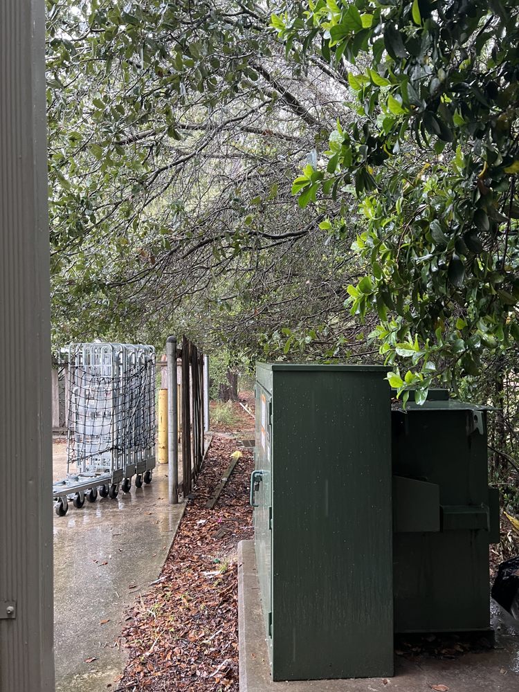 Addison Quality Lawn Care - tree service in Jacksonville, FL