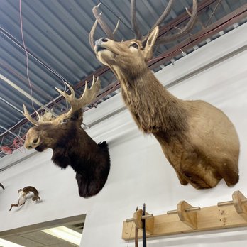 Average Joes Archery - Hello! - Archery Near Me - Coon Rapids, Minnesota Average Joes Archery - Hello! - Archery Near Me - Coon Rapids, Minnesota