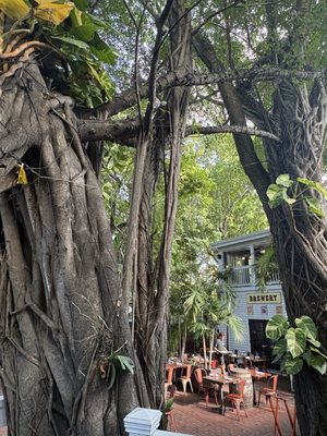 First Flight Island Restaurant & Brewery by null