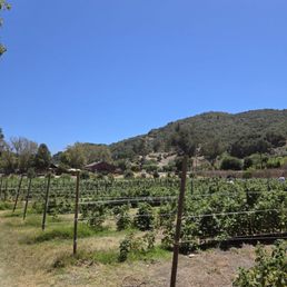 raspberry fields