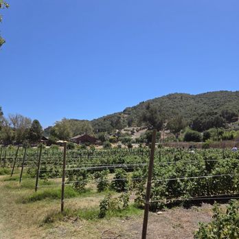 Avila Valley Barn - raspberry fields - Fruits & Veggies Near Me - San Luis Obispo, California