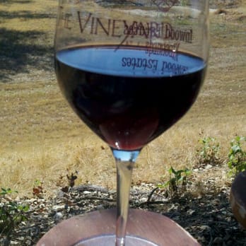 The Vineyard at Florence - New Perspective - Wineries Near Me - Florence, Texas