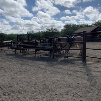 Tombstone Monument Guest Ranch - Some of the horses. - Guest Houses Near Me - Tombstone, Arizona