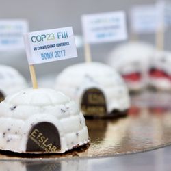 EisLabor Bonn-City - Neues EisTörtchen speziell zur Weltklimakonferenz in Bonn