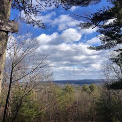 Mt Pisgah Conservation Area