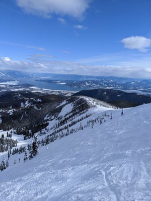 Schweitzer by null