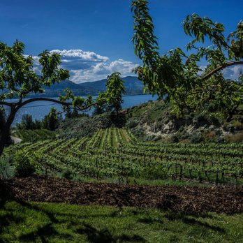 Kettle Valley Winery - a view of a vineyard with a lake in the background - Wineries Near Me - Naramata, British Columbia Kettle Valley Winery - a view of a vineyard with a lake in the background - Wineries Near Me - Naramata, British Columbia