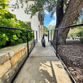 The Contemporary Austin - Laguna Gloria - A welcome guest - Museums Near Me - Austin, Texas