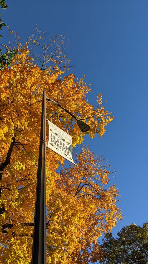 HERRONMORTON PLACE 1800 N Alabama, Indianapolis, Indiana Landmarks