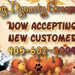 Dog Dynasty Grooming - Yes!!!!! We are now taking new customers For a faster response please call us 4056023004