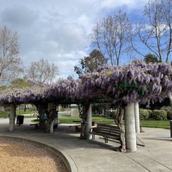 Creekside Park