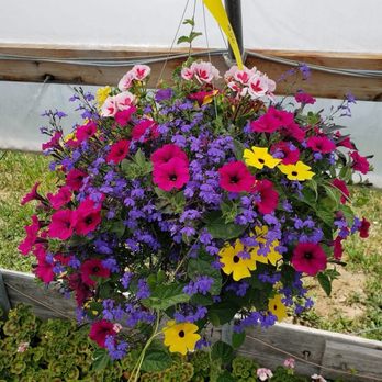 Hansen Plants - Nurseries & Gardening Near Me - Spanish Fork, Utah
