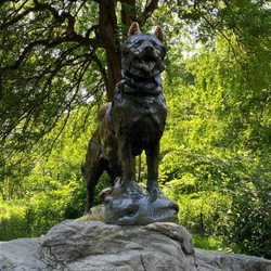 Balto
