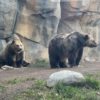 Lincoln Park Zoo - Zoos Near Me - Chicago, Illinois Lincoln Park Zoo - Zoos Near Me - Chicago, Illinois