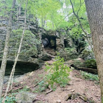 Clifty Falls State Park - Climbing Near Me - Madison, Indiana
