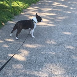 Prairie Creek Greenway
