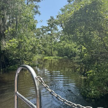 Ultimate Swamp Adventures - In the heart of the swamp ! - Tours Near Me - Westwego, Louisiana Ultimate Swamp Adventures - In the heart of the swamp ! - Tours Near Me - Westwego, Louisiana