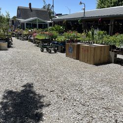 Dee-sign Landscaping & Garden Shop - Lots of stuff