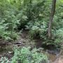 Photo of Maryville Hiking Trail