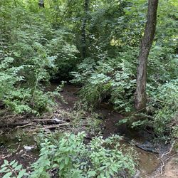 Maryville Hiking Trail