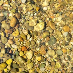 North Country Canoe Rental - The water was so clear and clean