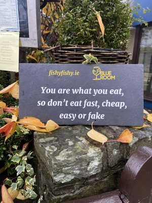 Fishy Fishy Kinsale by null