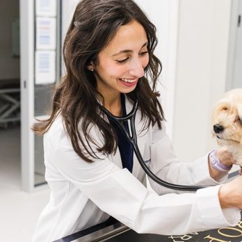 Dogwood Veterinary Clinic - Veterinarians Near Me - Prospect, Kentucky Dogwood Veterinary Clinic - Veterinarians Near Me - Prospect, Kentucky