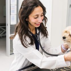 Dogwood Veterinary Clinic