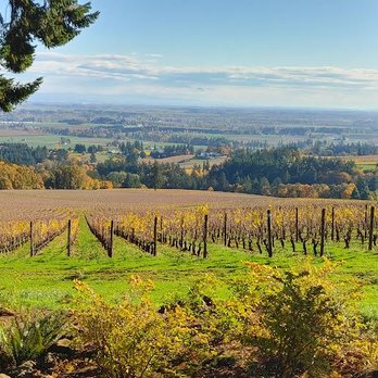 Domaine Drouhin Oregon - The valley. - Wine Tasting Room Near Me - Dayton, Oregon