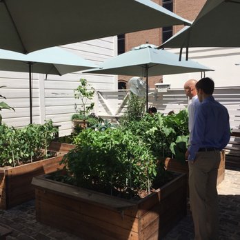 Basic Kitchen - Garden in the city - New American Near Me - Charleston, South Carolina