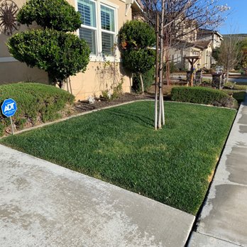 CR Pacific Landscape Design and Construction - The before picture. - Landscaping Near Me - Murrieta, California