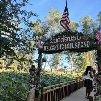 Lotus Pond - Public Markets Near Me - Sanger, California Lotus Pond - Public Markets Near Me - Sanger, California